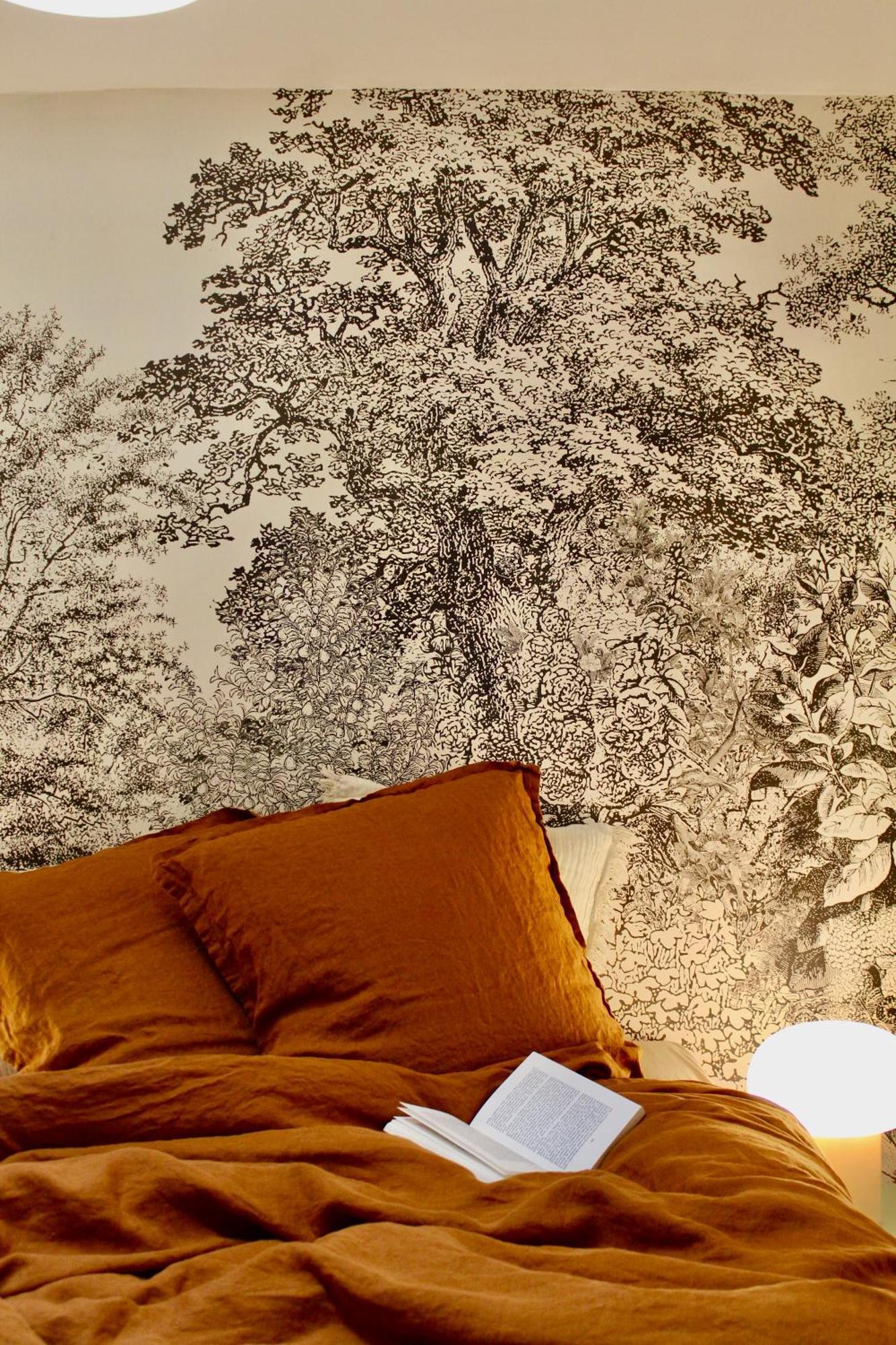 Maison Merci - Maison D'Hotes Carcassonne Eksteriør bilde